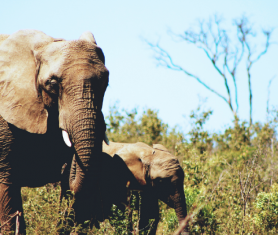 Nudge your customers wisely