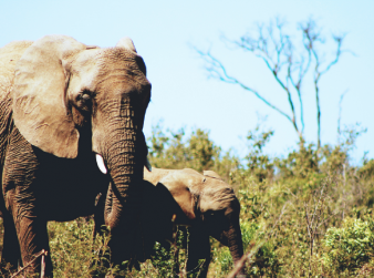 Nudge your customers wisely