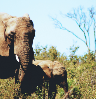 Nudge your customers wisely